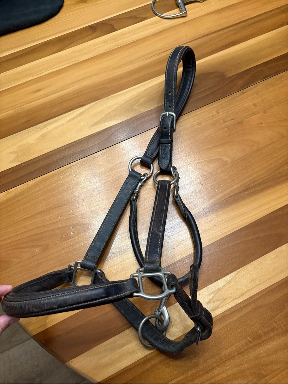 Brown CWD horse halter